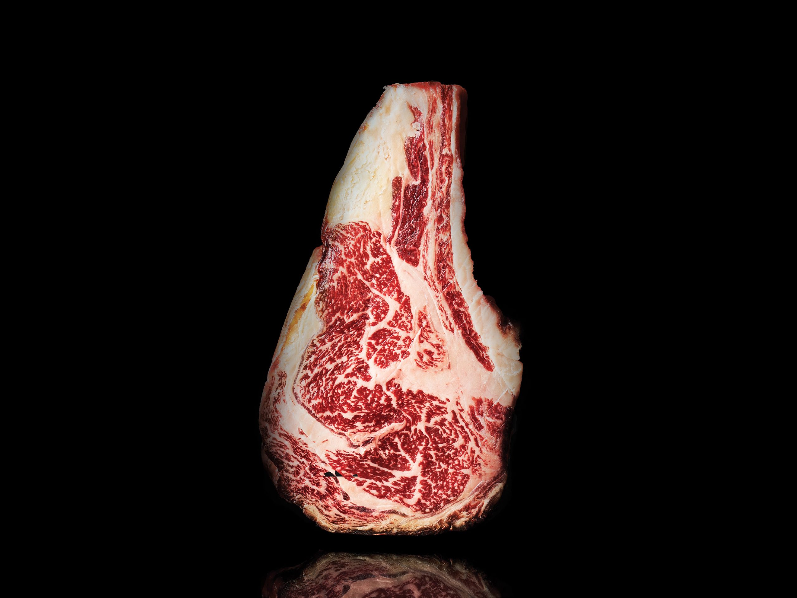 Meat Co. store gallery
