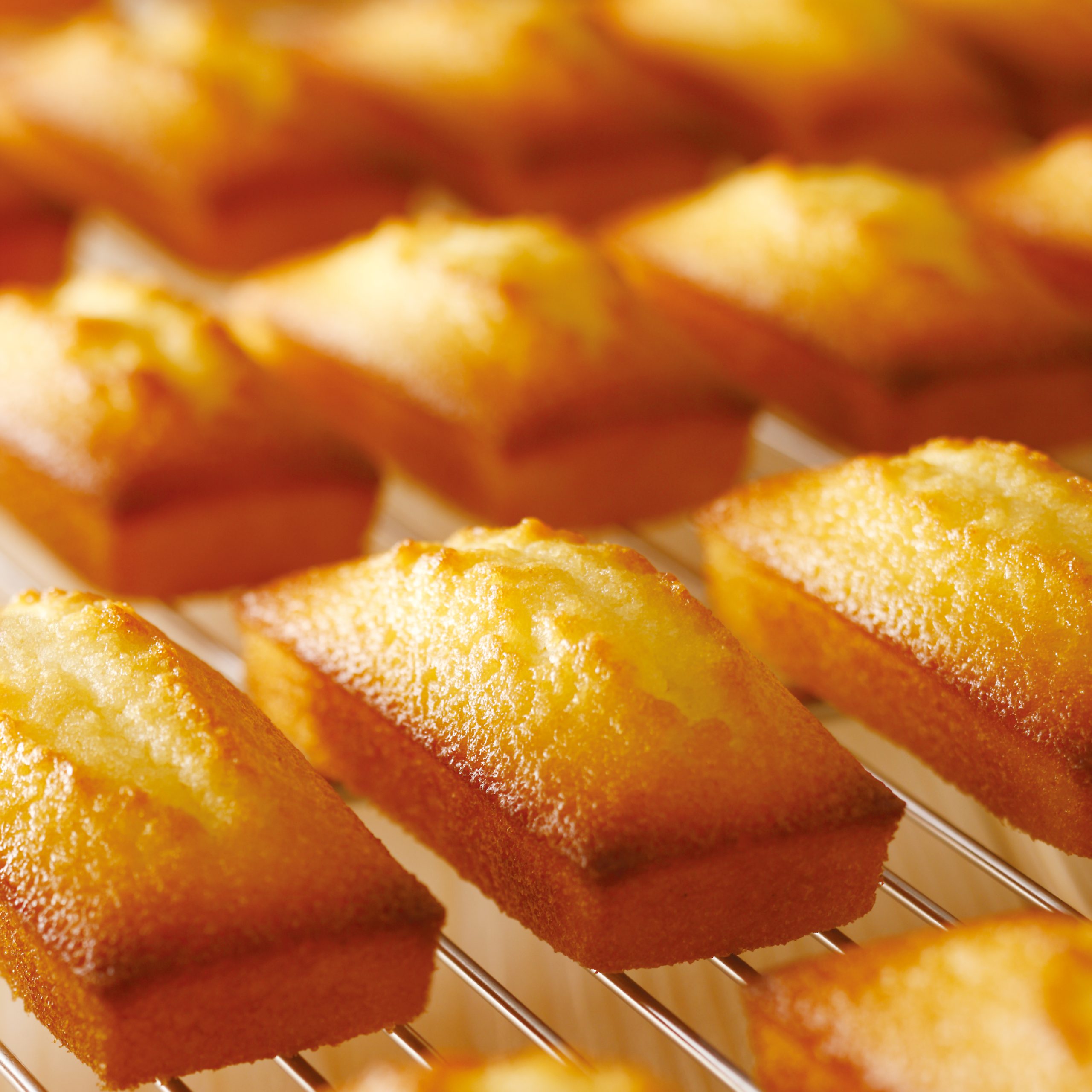 2. Financiers (950x712)