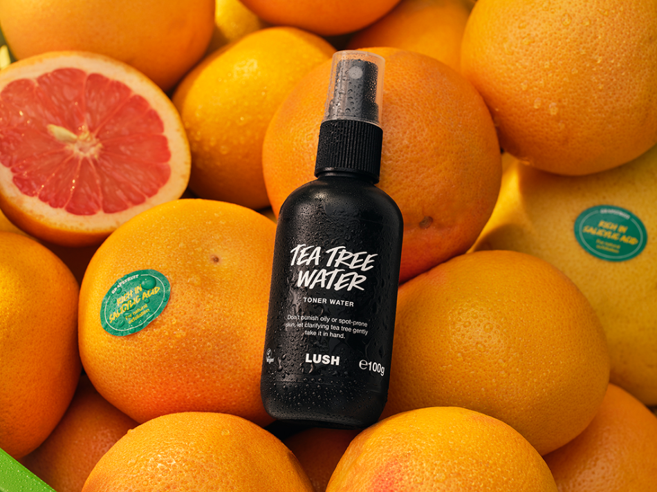 Lush Handmade Cosmetics